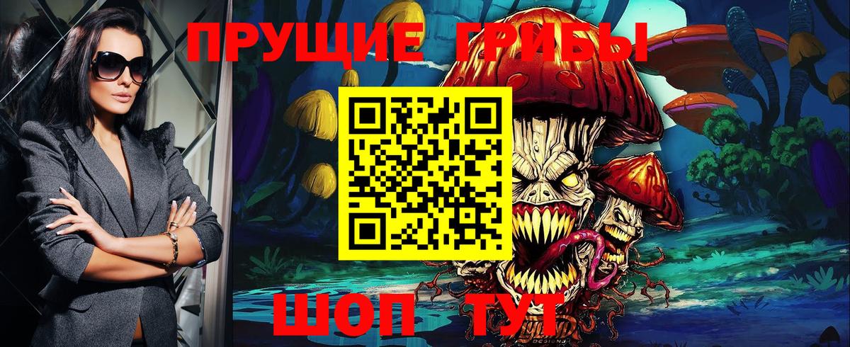 Галлюциногенные грибы Psilocybine cubensis  Вход с VPN  Советск  Галлюциногенные грибы прущие грибы 